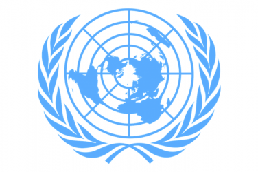 Volontariato Nazioni Unite