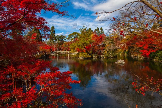 Kyoto, Lago azzurro e foglie di acero