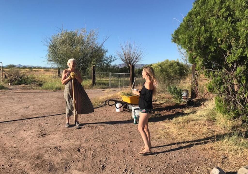 Giardiniere in Arizona -  lavoro vitto e alloggio negli Usa