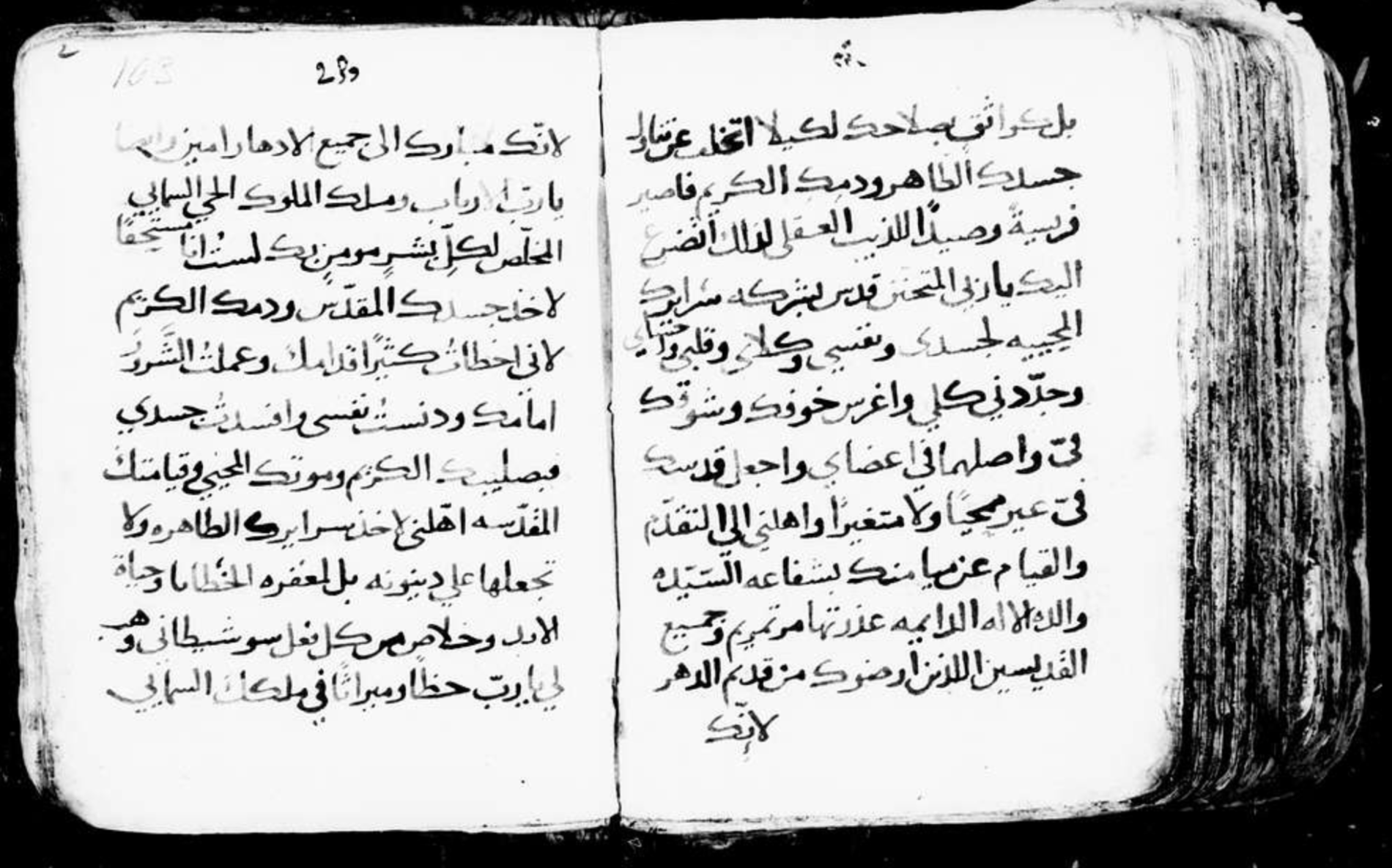 lingue antiche arabo