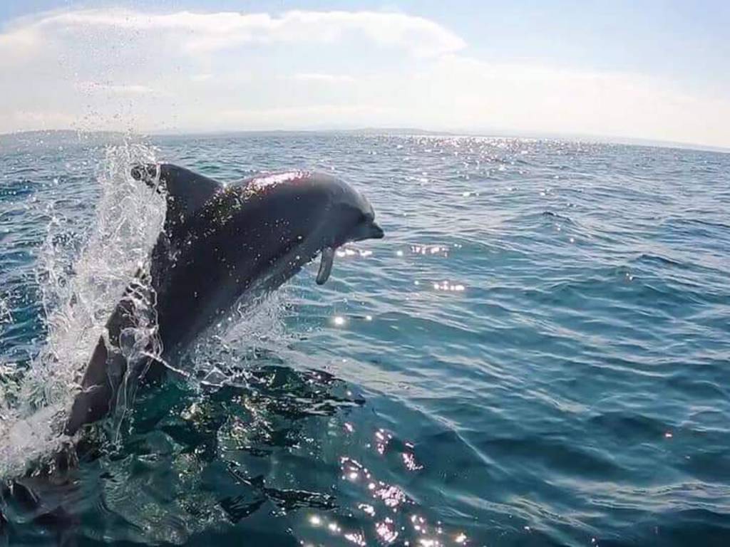 La Costa dei Delfini Cosa vedere in Abruzzo