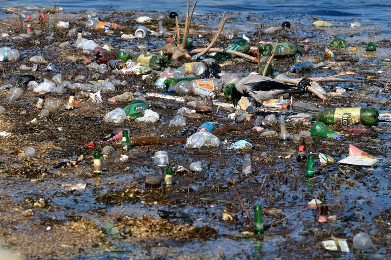 plastic garbage island